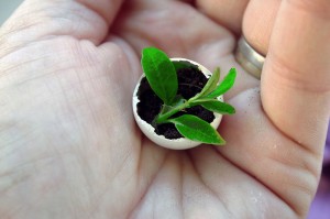 Can You Grow Your Sales Quickly? Can You Grow Your Sales Quickly?