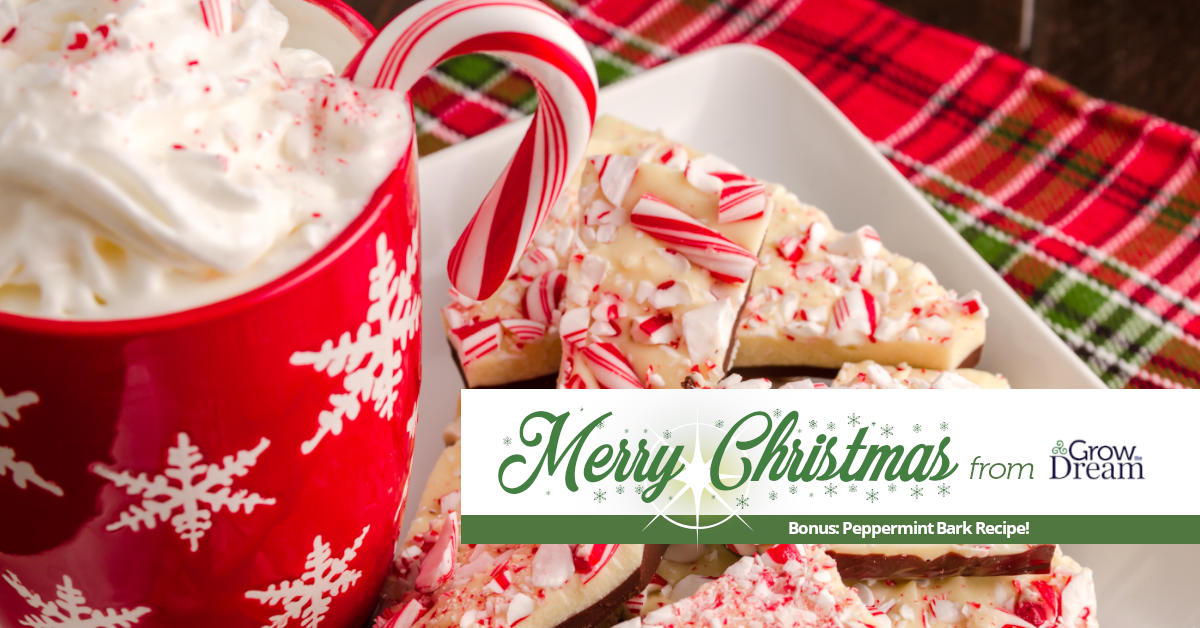 Merry Christmas and Happy New Year!